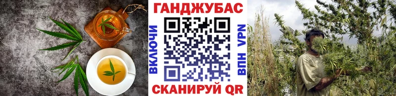 МЕГА зеркало  Якутск  Canna-Cookies марихуана 