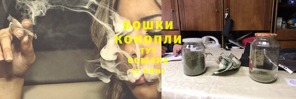 дурь Алзамай