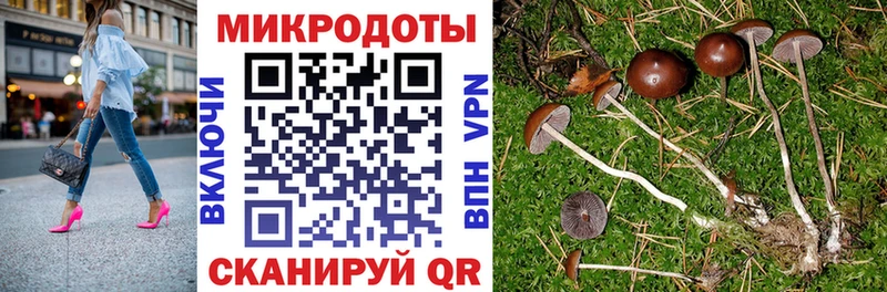 Псилоцибиновые грибы MAGIC MUSHROOMS  продажа наркотиков  Якутск 